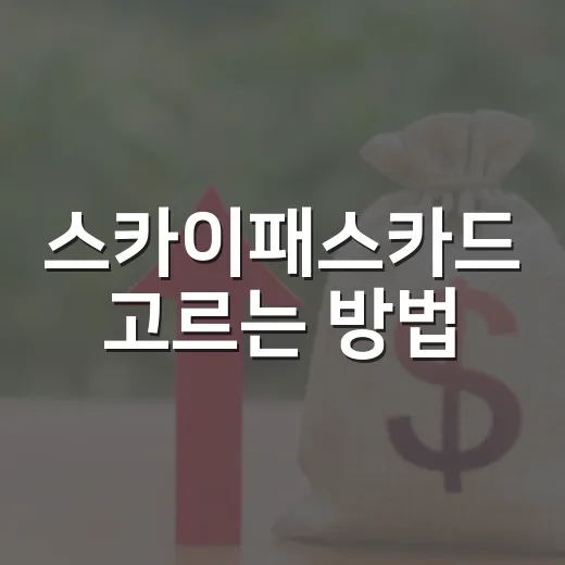스카이패스카드 고르는 방법, 연회비보다 마일 가치 먼저 계산하기 - 요약
