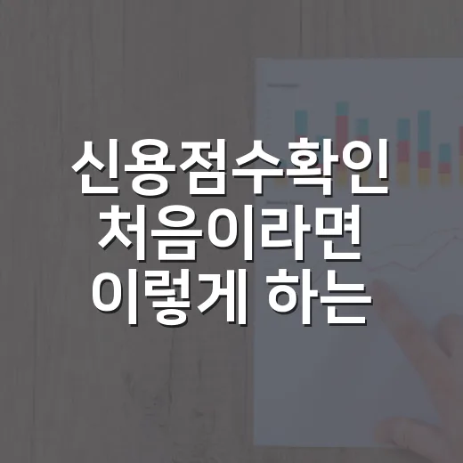 신용점수확인 처음이라면 이렇게 하는 방법 - 요약