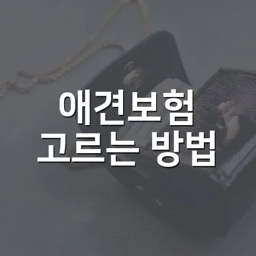 애견보험 고르는 방법, 병원비 계산부터 시작하기 - 요약
