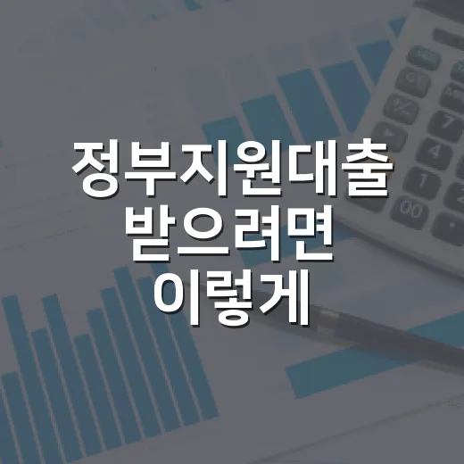 정부지원대출 받으려면 이렇게 고르세요: 소득·신용·용도별 신청 방법 - 요약