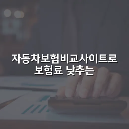 자동차보험비교사이트로 보험료 낮추는 방법 - 요약