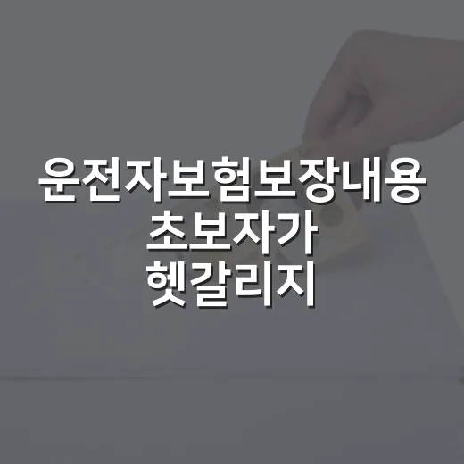 운전자보험보장내용 초보자가 헷갈리지 않게 고르는 방법 - 요약