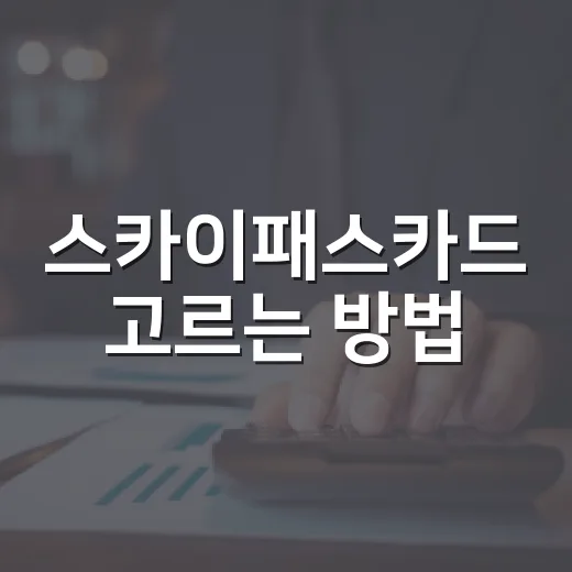 스카이패스카드 고르는 방법: 연회비와 마일리지 손익 계산법 - 요약