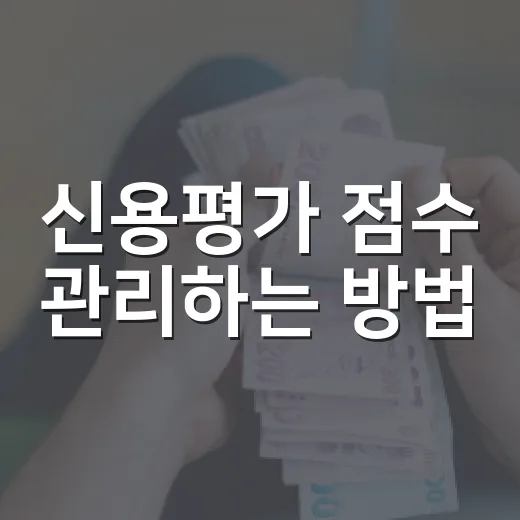신용평가 점수 관리하는 방법, 대출 전 이렇게 확인하세요 - 요약
