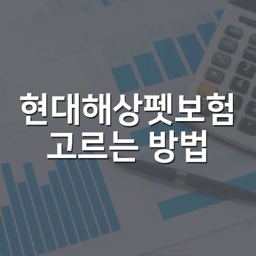 현대해상펫보험 고르는 방법, 보장한도와 할인까지 이렇게 비교하기 - 요약