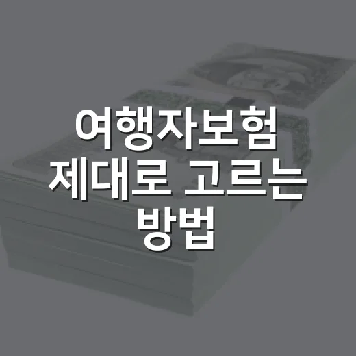 여행자보험 제대로 고르는 방법, 보험료보다 먼저 볼 5가지 - 요약