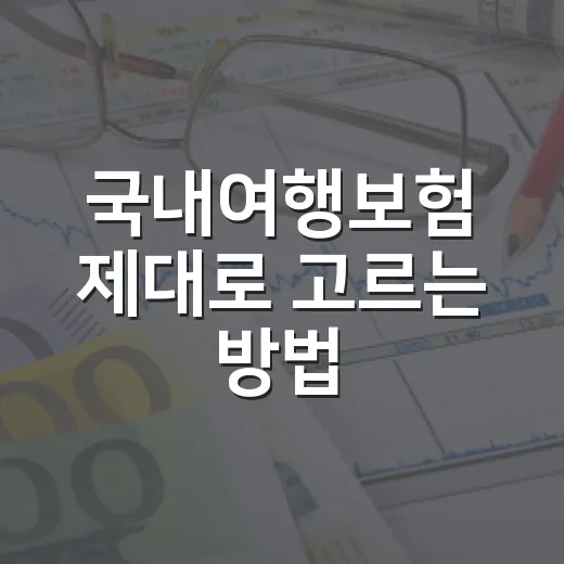 국내여행보험 제대로 고르는 방법, 하루짜리 여행도 따져볼 항목 - 요약