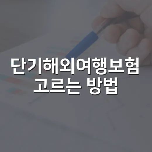 단기해외여행보험 고르는 방법: 3박 4일 여행도 빠뜨리면 손해 보는 체크포인트 - 요약