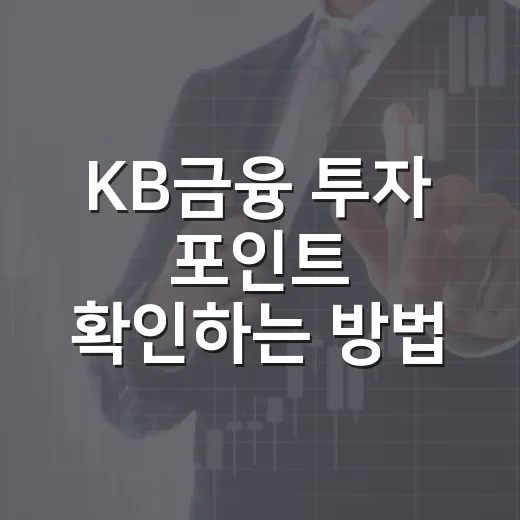KB금융 투자 포인트 확인하는 방법, 초보자도 숫자로 판단하려면 이렇게 - 요약