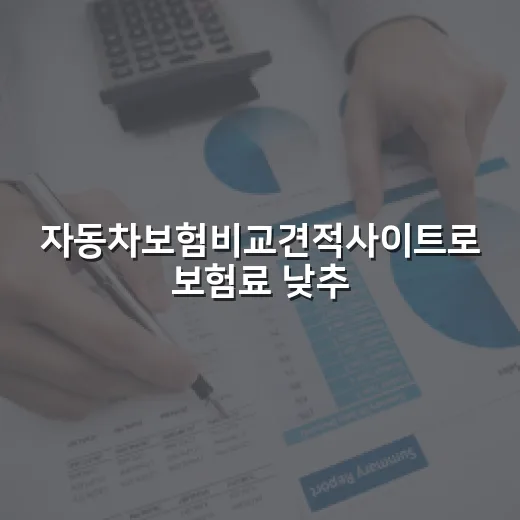 자동차보험비교견적사이트로 보험료 낮추는 방법 - 요약