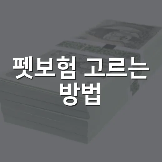 펫보험 고르는 방법, 보험료보다 먼저 봐야 할 기준 - 요약