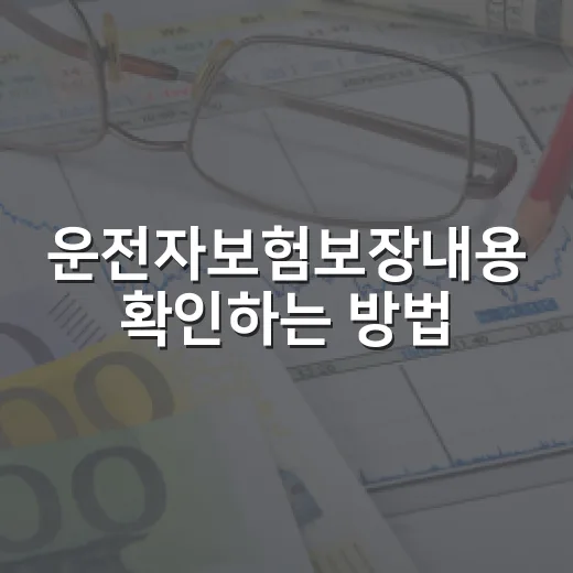 운전자보험보장내용 확인하는 방법, 가입 전 체크할 항목은 이렇게 - 요약