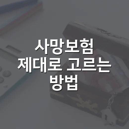 사망보험 제대로 고르는 방법, 보험료보다 먼저 볼 5가지 - 요약