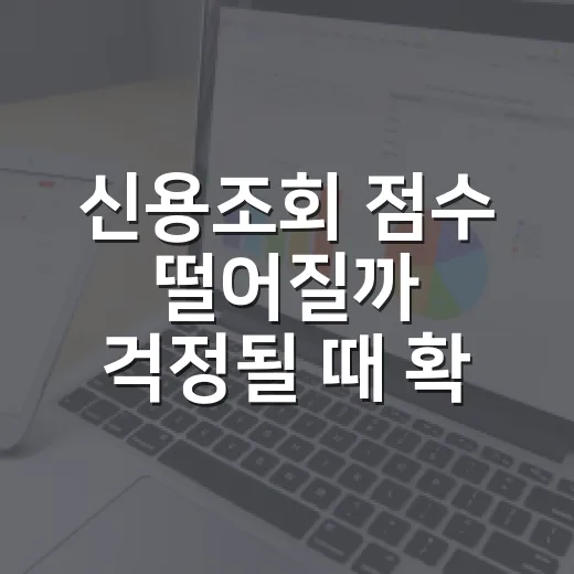 신용조회 점수 떨어질까 걱정될 때 확인하는 방법 - 요약