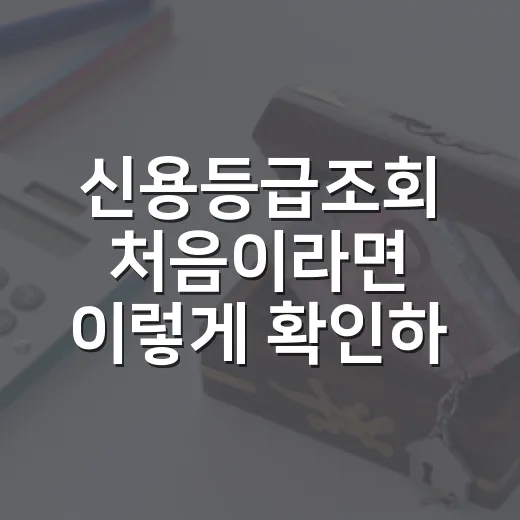 신용등급조회 처음이라면 이렇게 확인하는 방법 - 요약