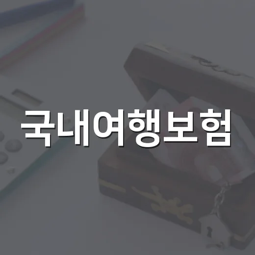 국내여행보험, 알면 돈이 아깝지 않은 이유 - 요약