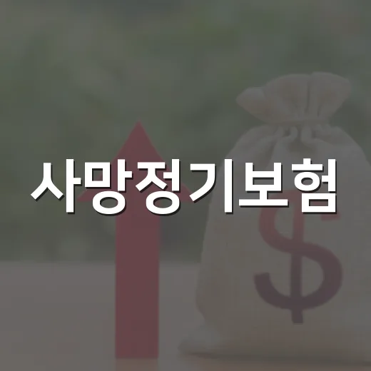 사망정기보험, 이건 꼭 알고 시작하세요 - 요약