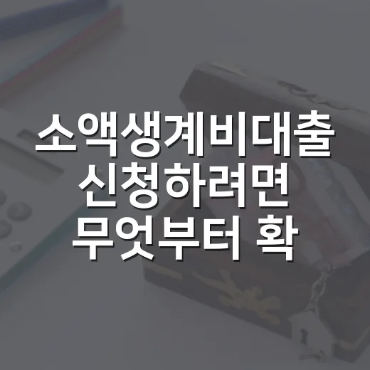 소액생계비대출 신청하려면 무엇부터 확인할까 - 요약
