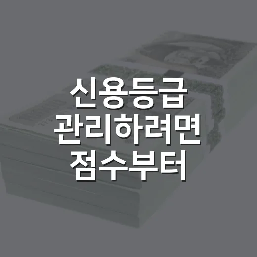 신용등급 관리하려면 점수부터 확인하는 방법 - 요약