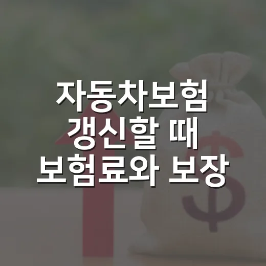 자동차보험 갱신할 때 보험료와 보장 비교하는 방법 - 요약
