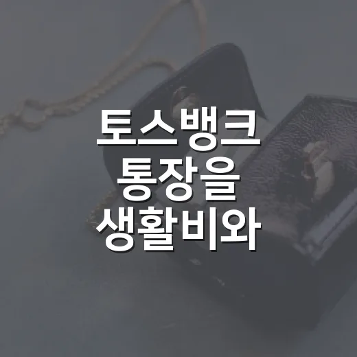 토스뱅크 통장을 생활비와 비상금에 쓰는 방법 - 요약