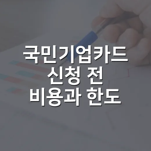 국민기업카드 신청 전 비용과 한도 확인하는 방법 - 요약