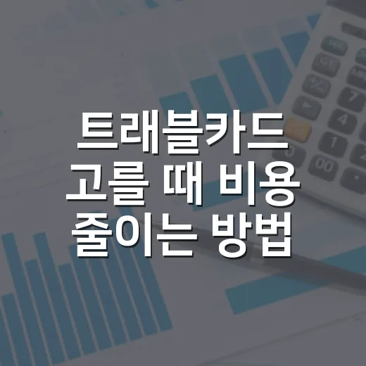 트래블카드 고를 때 비용 줄이는 방법 - 요약