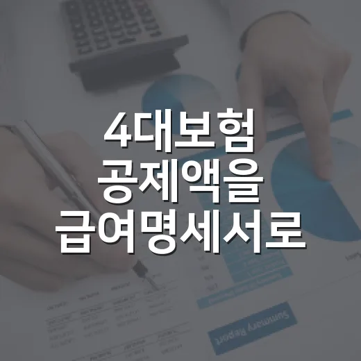 4대보험 공제액을 급여명세서로 확인하는 방법 - 요약