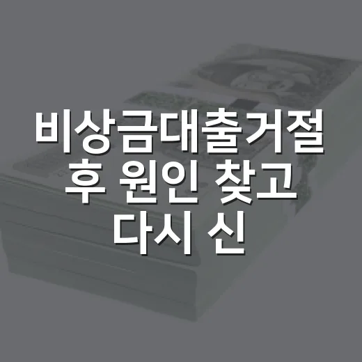 비상금대출거절 후 원인 찾고 다시 신청하는 방법 - 요약