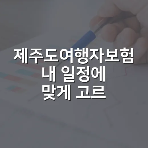 제주도여행자보험 내 일정에 맞게 고르는 방법 - 요약