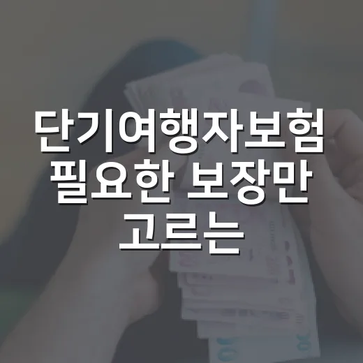 단기여행자보험 필요한 보장만 고르는 방법 - 요약