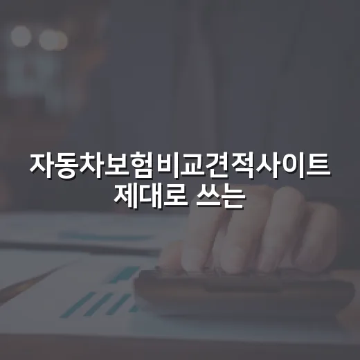 자동차보험비교견적사이트 제대로 쓰는 방법 - 요약