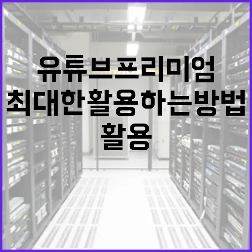 유튜브 프리미엄을 최대한 활용하는 방법 - 요약