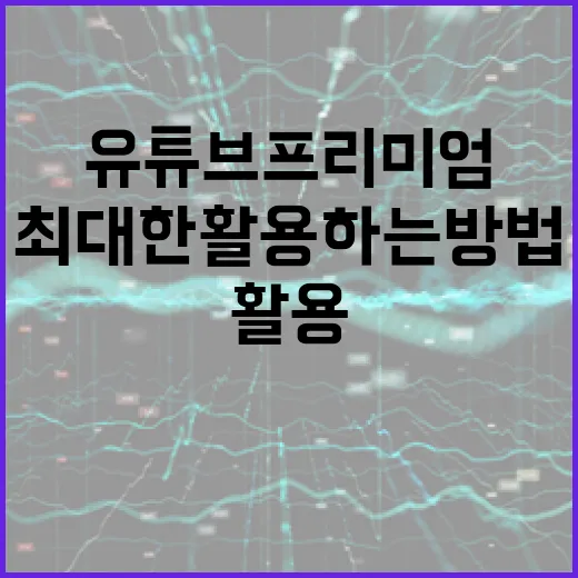 유튜브 프리미엄을 최대한 활용하는 방법 - 요약