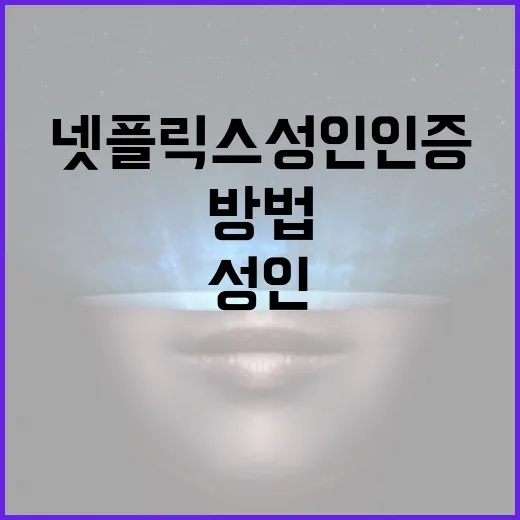 넷플릭스 성인인증을 설정하는 방법 - 요약