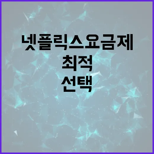 최적의 넷플릭스 요금제를 선택하는 방법 - 요약