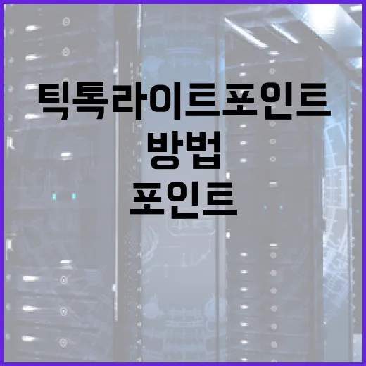 틱톡라이트 포인트가 사라졌을 때 대처하는 방법 - 요약