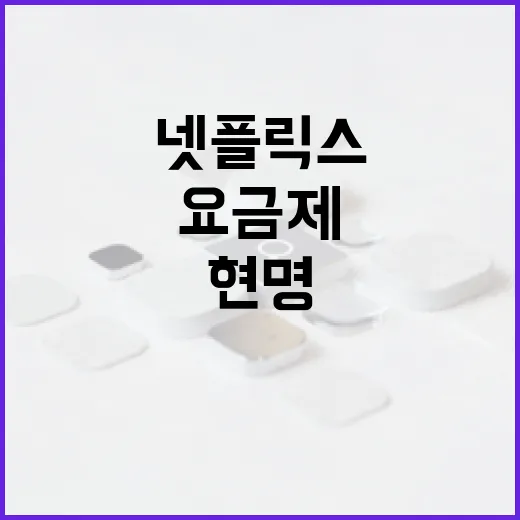 넷플릭스 요금제를 현명하게 선택하는 방법 - 요약