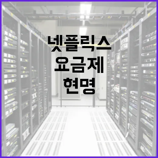 넷플릭스 요금제를 현명하게 선택하는 방법 - 요약