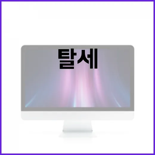 탈세의 뜻과 이를 예방하는 방법 - 요약