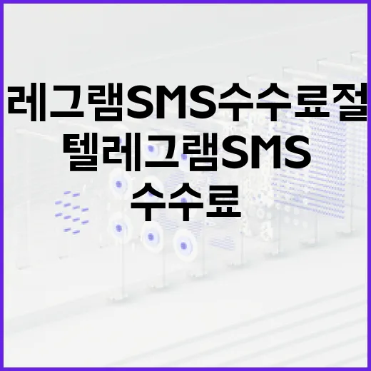 텔레그램 SMS 수수료 절약하는 방법 - 요약