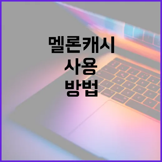 멜론 캐시 효과적으로 사용하는 방법 - 요약
