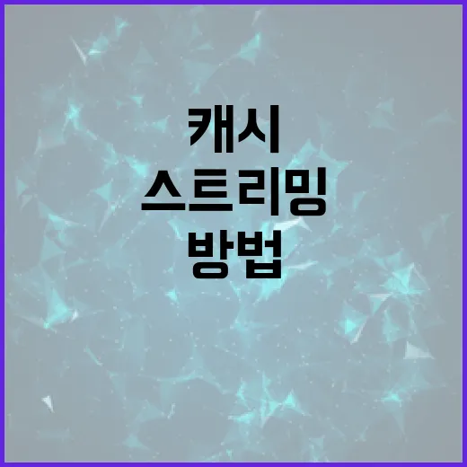 멜론캐시를 활용하여 뮤직 스트리밍 경험을 극대화하는 방법 - 요약