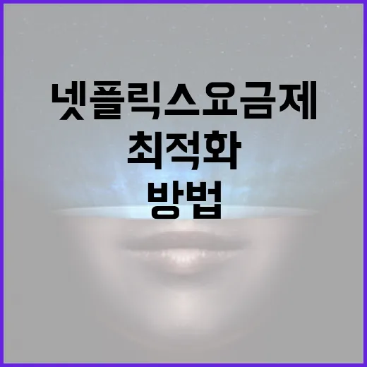 넷플릭스 요금제를 최적화하는 방법 - 요약