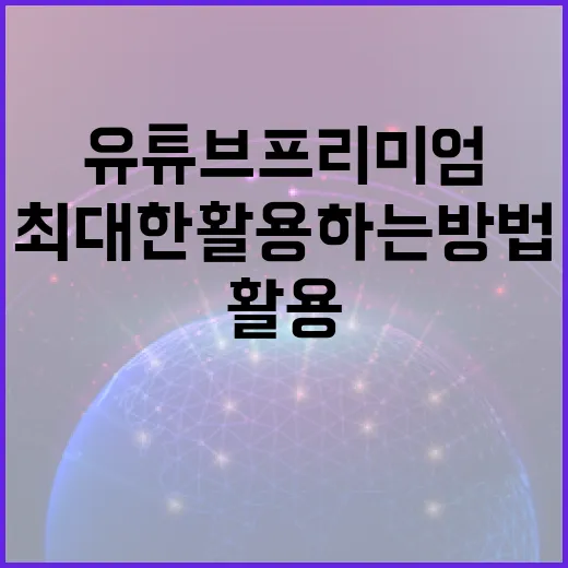 유튜브 프리미엄을 최대한 활용하는 방법 - 요약