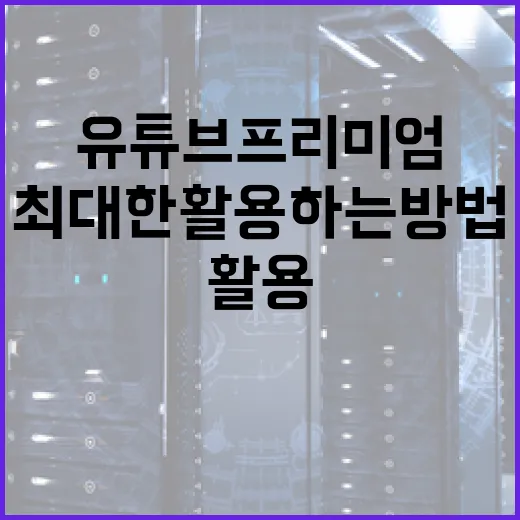 유튜브 프리미엄을 최대한 활용하는 방법 - 요약