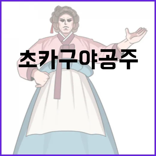 초카구야공주에 대해 알아보는 방법 - 요약