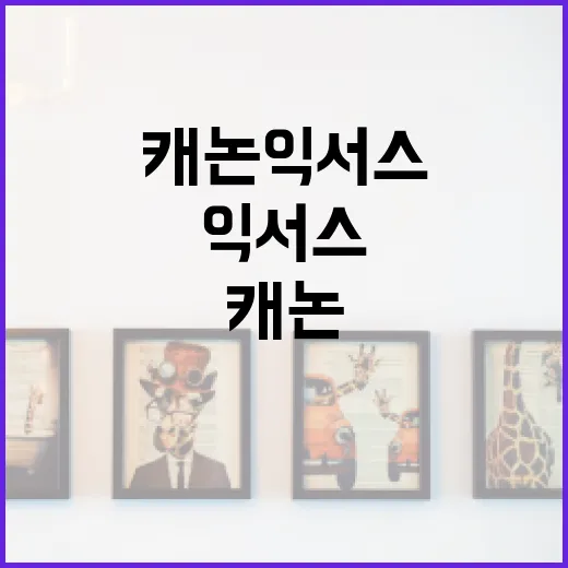 캐논 익서스 110을 최대한 활용하는 방법 - 요약