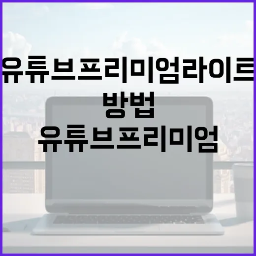 유튜브 프리미엄 라이트를 사용하는 방법 - 요약