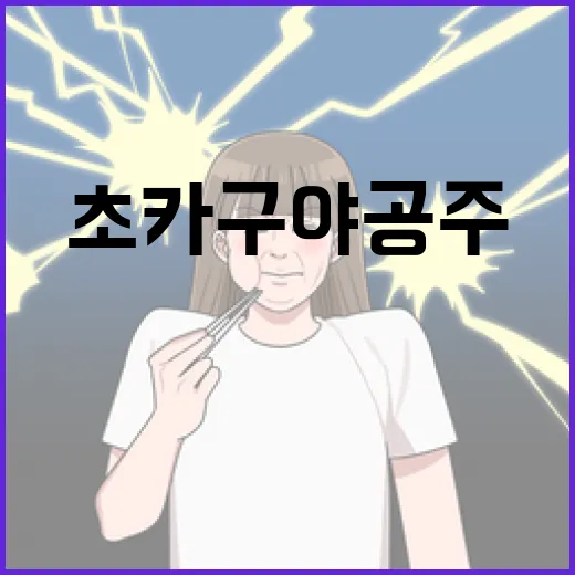 초카구야공주에 대해 알아야 할 모든 것 - 요약